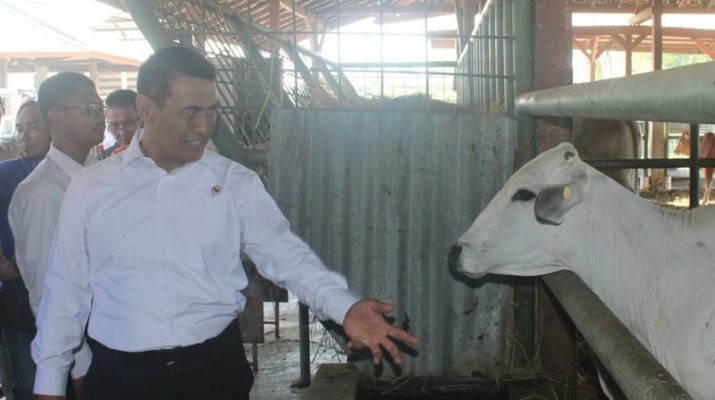 Mentan Amran Sulaiman Undang Investor Vietnam Buka Lahan Peternakan