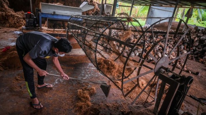 Bappenas Ungkap Tantangan Hilirisasi Kelapa di Indonesia Timur