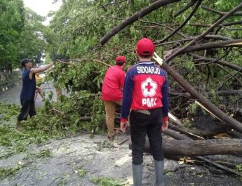 Masuki Pancaroba, BMKG Imbau Waspada Angin Puting Beliung