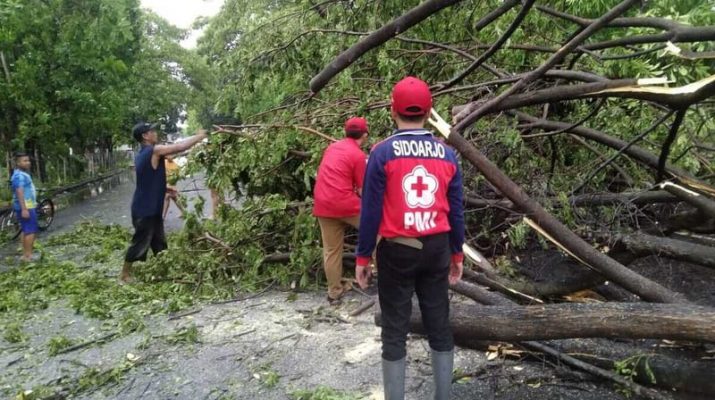 Masuki Pancaroba, BMKG Imbau Waspada Angin Puting Beliung