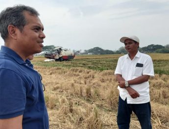 Pompanisasi dan Combine Harvester: Kunci Keberhasilan Panen di Musim Kemarau