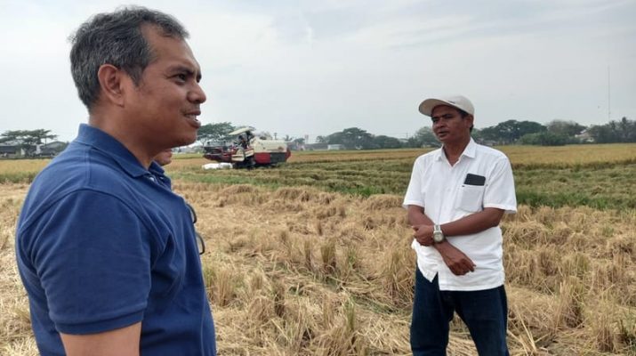 Pompanisasi dan Combine Harvester: Kunci Keberhasilan Panen di Musim Kemarau