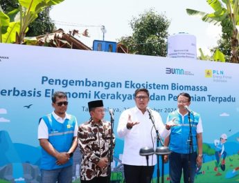 PLN EPI Bantu Kembangkan Lahan Pertanian Kritis