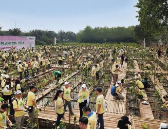 Regenerasi Kawasan Pesisir, Kolaborasi Pemprov DKI-Aeon Tanam 5.000 Mangrove