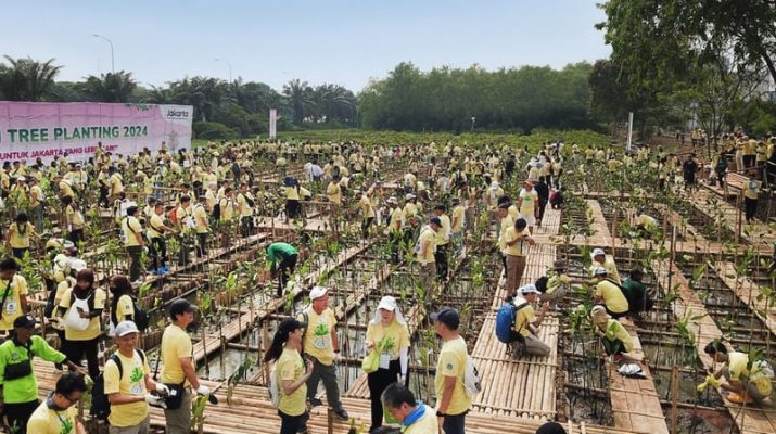 Regenerasi Kawasan Pesisir, Kolaborasi Pemprov DKI-Aeon Tanam 5.000 Mangrove