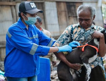 Australia Puji Kepemimpinan Indonesia dalam Menangani Wabah Rabies