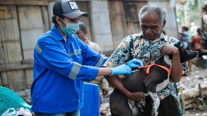 Australia Puji Kepemimpinan Indonesia dalam Menangani Wabah Rabies