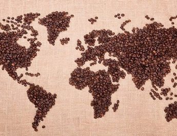 7 Negara Penghasil Kopi Terbesar di Dunia: Kontributor Utama Industri Kopi Global