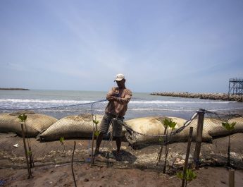 Pakar Maritim: Indonesia Bertanggungjawab Jaga Kelestarian Ekosistem Laut