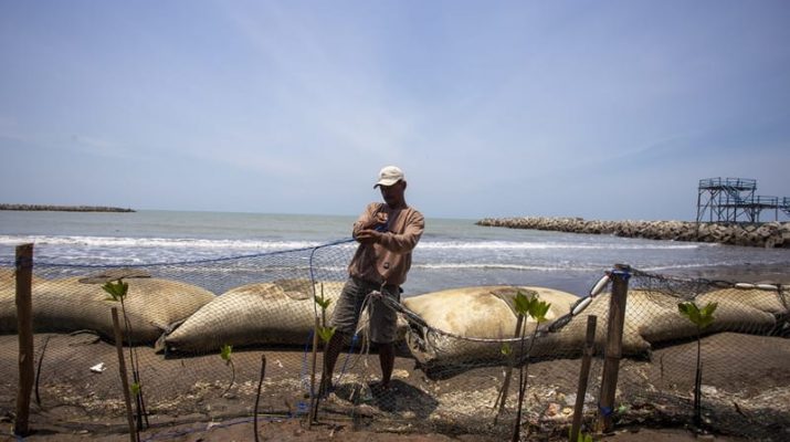 Pakar Maritim: Indonesia Bertanggungjawab Jaga Kelestarian Ekosistem Laut