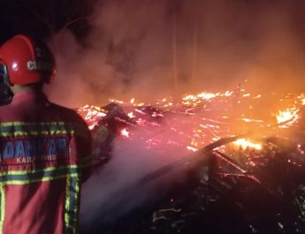 Diduga konsleting listrik, Kandang dan Ribuan Ekor Ayam Hangus Terpanggang