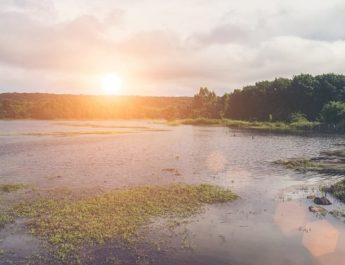 Sungai Mengering pada Tingkat Tertinggi dalam 30 Tahun di Tahun 2023, Ancaman Serius bagi Pasokan Air Global