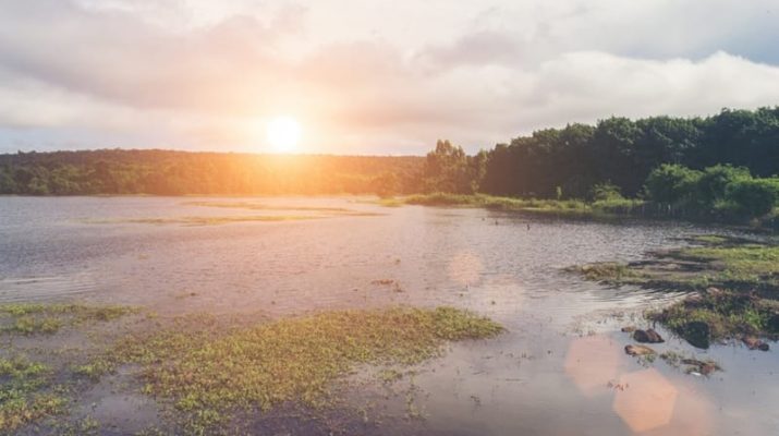 Sungai Mengering pada Tingkat Tertinggi dalam 30 Tahun di Tahun 2023, Ancaman Serius bagi Pasokan Air Global