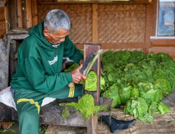 Pemerintah Diminta Berpihak Pada Keberlanjutan Mata Pencaharian Petani Tembakau