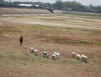 Bendungan Kering, Petani tidak Bisa Menanam Padi