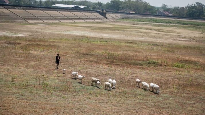 Bendungan Kering, Petani tidak Bisa Menanam Padi