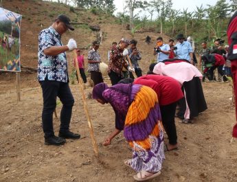 Kabupaten Kuningan Tanam Padi Gogo