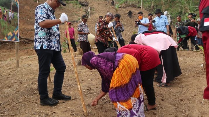 Kabupaten Kuningan Tanam Padi Gogo