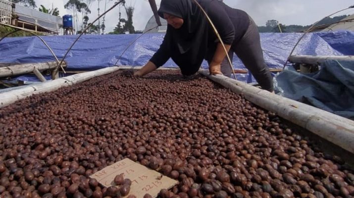 Indonesia Aktif di Forum Perdagangan Internasional demi Dongkrak Ekspor Kopi