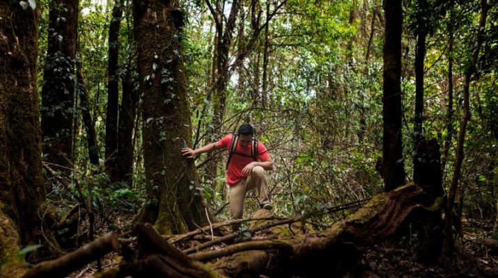 8 Arti Mimpi Tersesat di Hutan