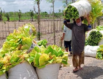 APTI Konsisten Tolak RPMK tentang Kemasan Rokok Tanpa Merek