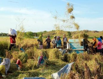 Program Cetak Sawah dan Optimasi Lahan Harus Bisa Angkat Kesejahteraan Petani