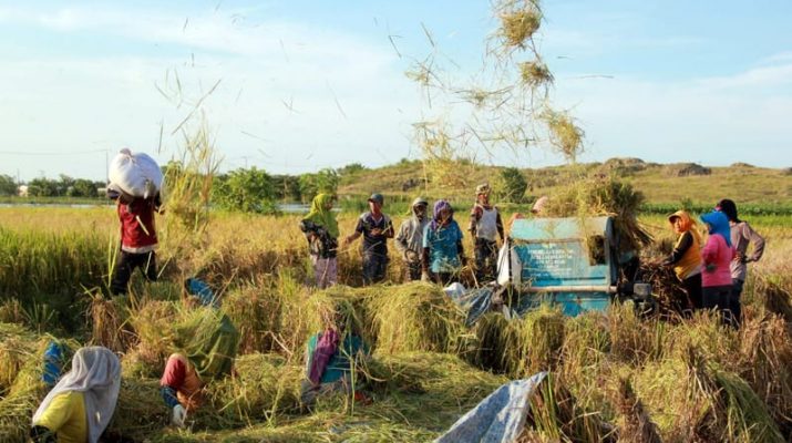 Program Cetak Sawah dan Optimasi Lahan Harus Bisa Angkat Kesejahteraan Petani