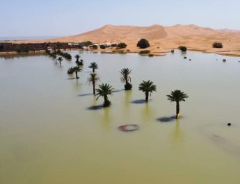 Potret Gurun Sahara Terendam Banjir, Pertama Kalinya dalam 50 Tahun Terakhir