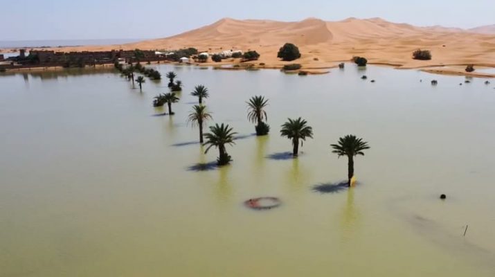 Potret Gurun Sahara Terendam Banjir, Pertama Kalinya dalam 50 Tahun Terakhir