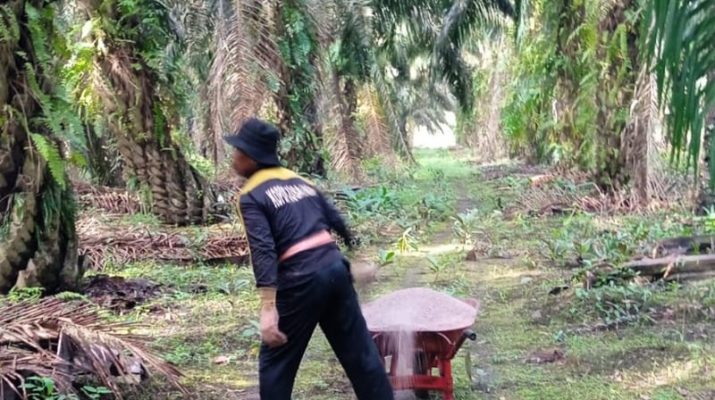 Alih Fungsi Lahan Pangan Semakin Mengkhawatirkan