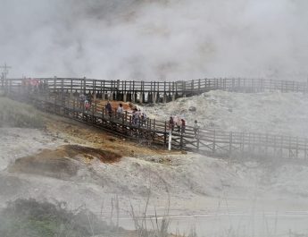 Pengembangan Hidrogen Hijau Diakselerasi untuk Transisi Energi Bersih