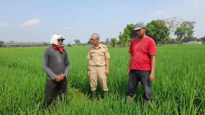 Petani di Majalengka Dapat Bantuan Benih