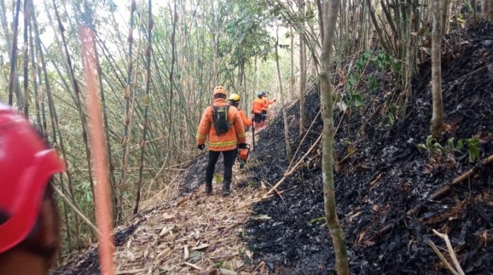 Puntung Rokok Sebabkan Karhutla di Ciamis