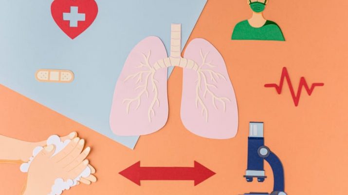 Sistem Pernapasan Manusia: Cara Kerja dan Gangguannya