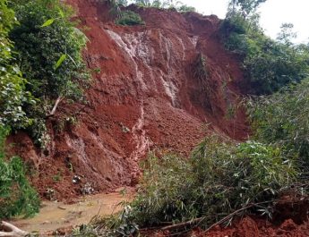 Saluran Air Tertutup Tanah Longsor, Ratusan Ha Lahan Sawah Terancam Kekeringan