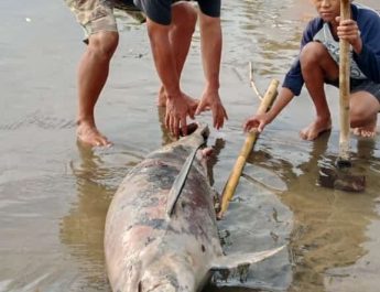 Warga Waswas, Gelombang Pasang Kembali Terjang Pesisir Pantai Selatan Sukabumi