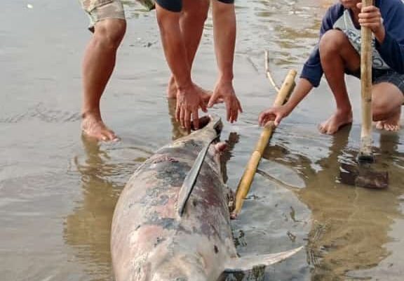 Warga Waswas, Gelombang Pasang Kembali Terjang Pesisir Pantai Selatan Sukabumi