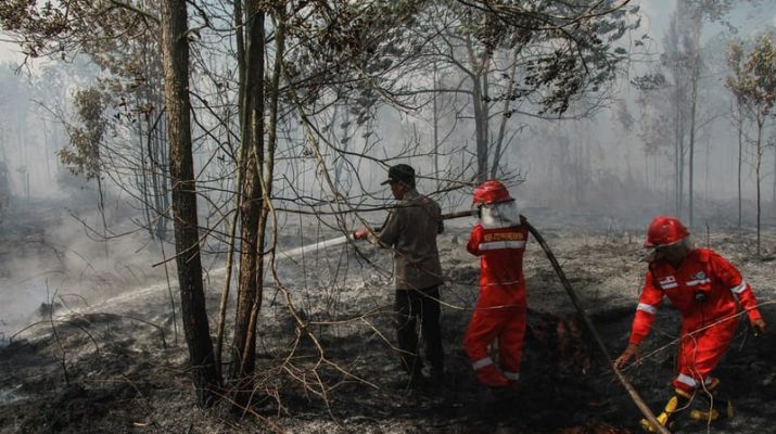 BRIN Kembangkan Strategi Pencegahan Kebakaran Lahan Gambut