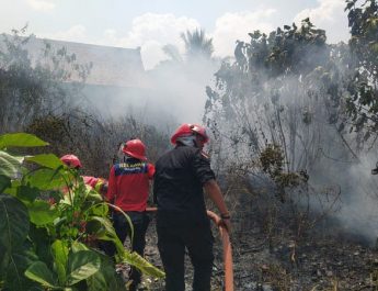 Kasus Kebakaran Lahan di Cianjur Tahun Ini Turun Dibanding Tahun Lalu