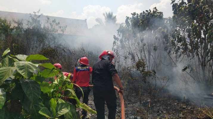 Kasus Kebakaran Lahan di Cianjur Tahun Ini Turun Dibanding Tahun Lalu