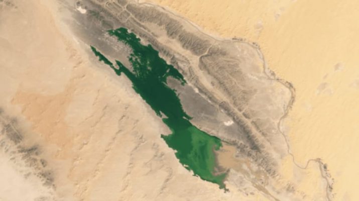 Wow Danau Muncul di Sahara Usai Hujan Deras Siklon 