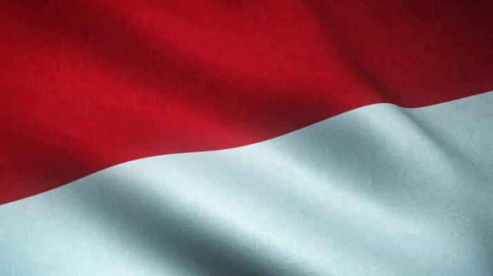 Peran Bahasa Indonesia: Simbol Persatuan dan Tantangan di Era Globalisasi