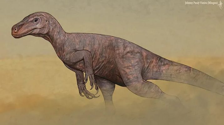 Dinosaurus Tak Dikenal Ini Pernah Hidup di Zimbabwe, Ukurannya Diyakini Super Besar 