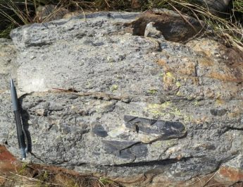 Tumbukan Meteorit Ungkap Dampak Positif Peran Tabrakan Besar dalam Evolusi Kehidupan Awal Bumi