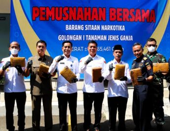 Bea Cukai dan BNNP Banten Musnahkan 110 Kilogram Ganja Hasil Penindakan di Cilegon