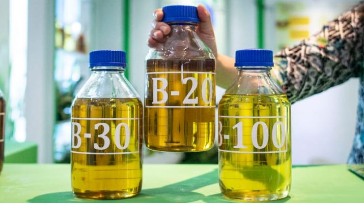 Biodiesel Jadi Inisiatif Mengurangi Ketergantungan pada Bahan Bakar Fosil