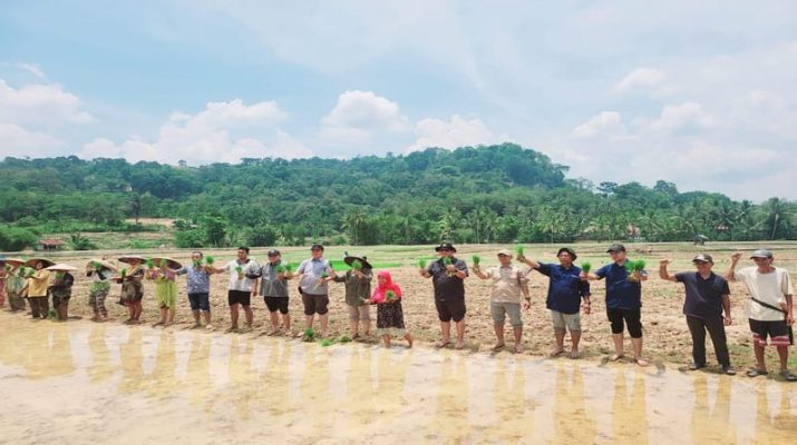 Untung Puluhan Juta, Petani Milenial di Sajira Mengubah Stigma