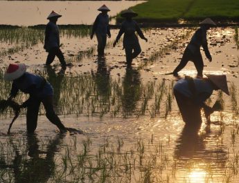 Pemerintah Pastikan Cari Solusi untuk Utang Petani dan Nelayan