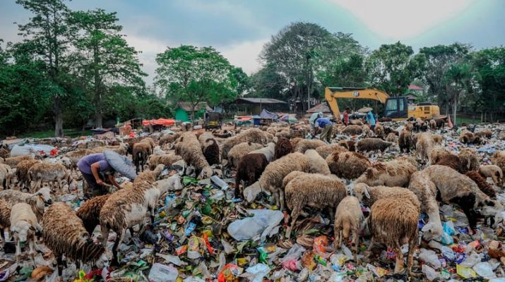 BGN: Sampah Sisa Makanan Bergizi Gratis Digunakan untuk Pupuk